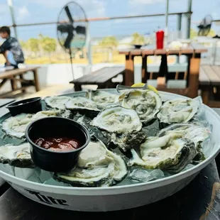 Oysters on the Half Shell*
