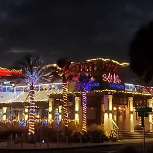 Salt Life all decked out at night.