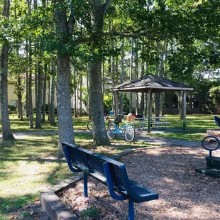 Bench and picnic area