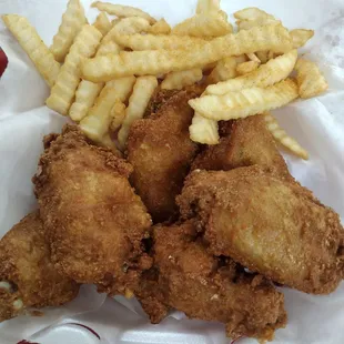 Wings and fries