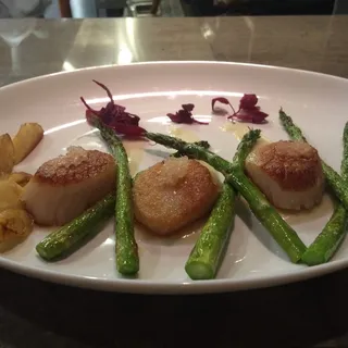 Scallop