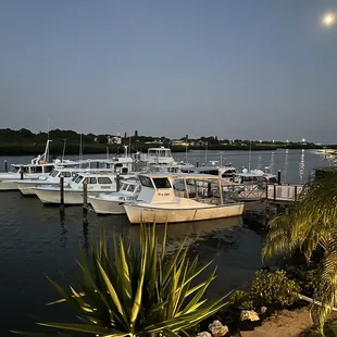 Our view at dinner