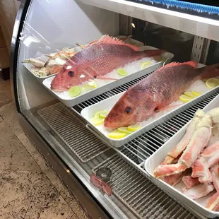 Fresh Fish