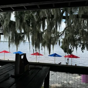 View from outside patio