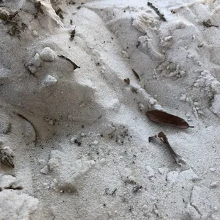 white sand by the lake