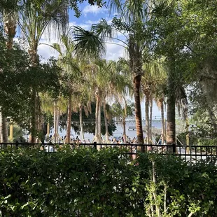 View of the patio from the street - Overlooking the lake.