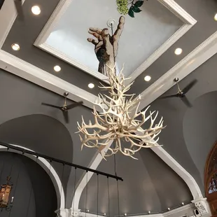a large antler hanging from the ceiling