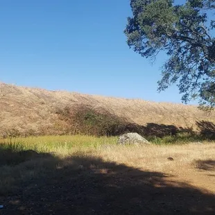 This was the "view" we had