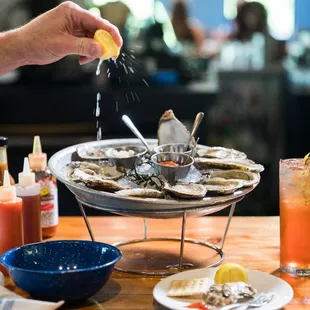 Oysters