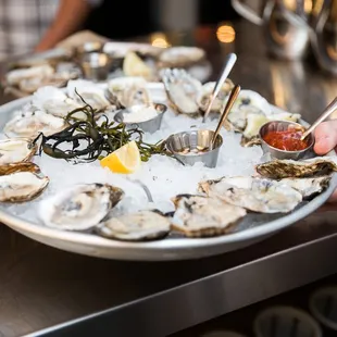Oysters