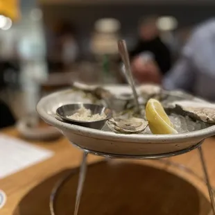 Oysters on the half shells
