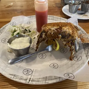 Snapper Collar