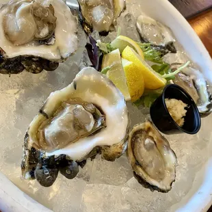 Oysters