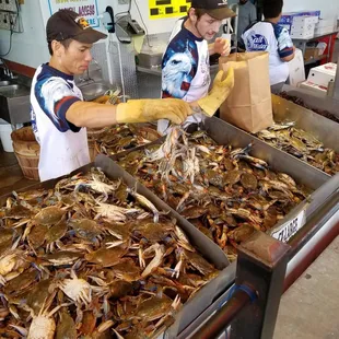 Salt Water Seafood
