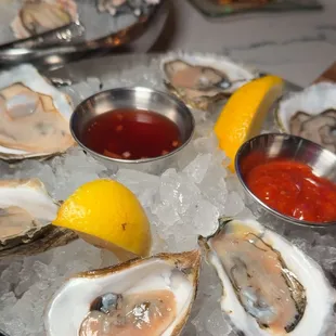 Oysters