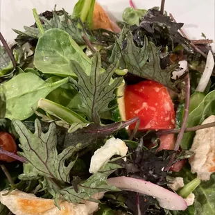 Panzanella Salad