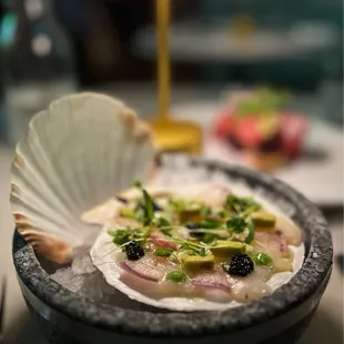 Scallop crudo