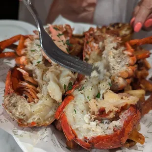 1.5LB LOBSTER FRITES - Sept 2023