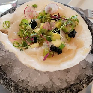 Raw Day Boat Scallops