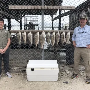 Limits of Black Drum for Brian and his son!