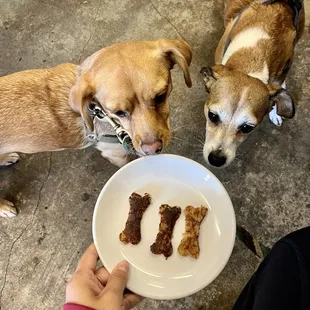 I love that they give the pups little oatmeal griddle cakes in the shapes of bones, my pups loved them!
