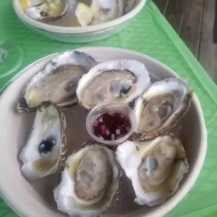 Local oysters with the house mignonette. I ate one before I remembered to take picks!