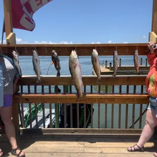 Saltwater Cowboyz