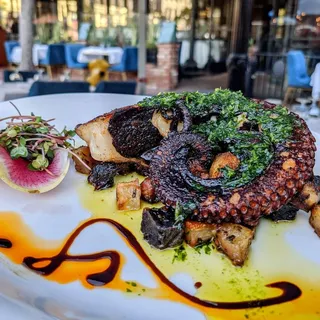 Grilled Octopus