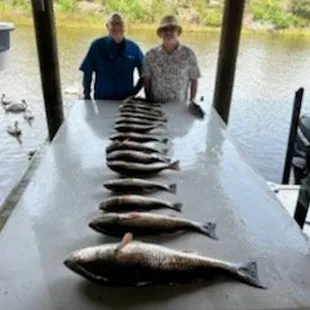 Saltwater Therapy Charters