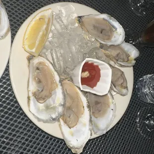 Oysters