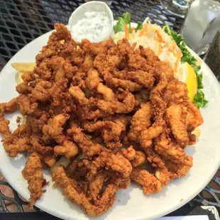 Clam Strips