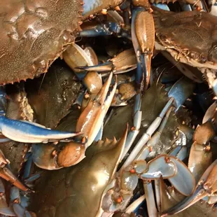 a pile of crabs
