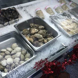 Oysters