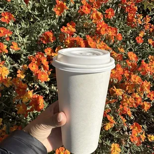 a hand holding a cup of coffee