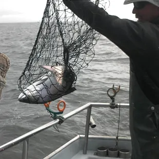 One of the small ones.