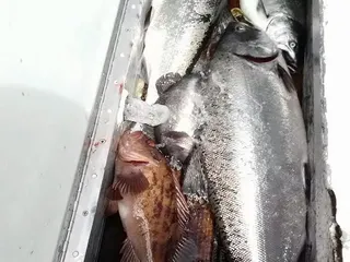 New Easy Rider Sport Fishing