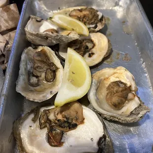 Broiled Oysters