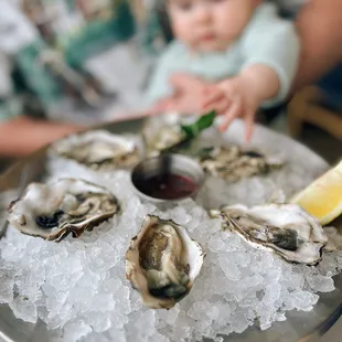 Oysters on half shell