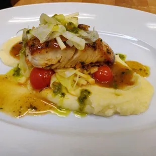 Mahi-Mahi
