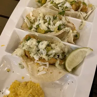 Gulf Grouper