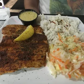 Caribbean Mahi-Mahi
