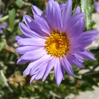 Barbara R.
