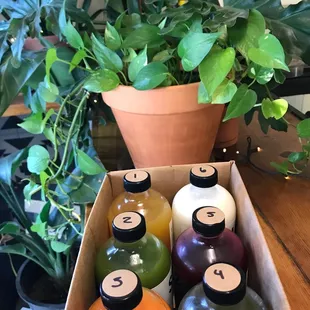 Yikes! My first all day juice cleanse!