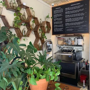 Smoothie menu