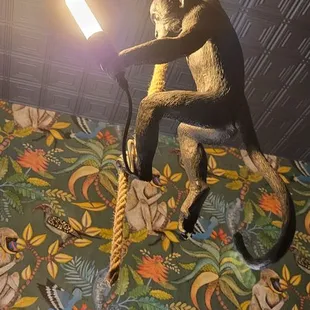 ramen and noodles, interior