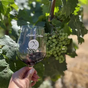 a hand holding a glass of wine