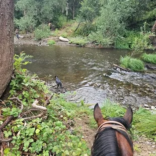 Riding down to the river on the first morning ride