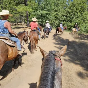 First ride out at Saluti Horse Adventures thru Saluti Cellars