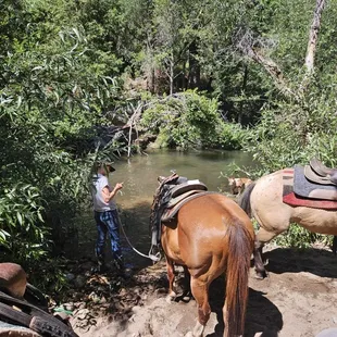 Grabbing a little drink on the river crossing ride.