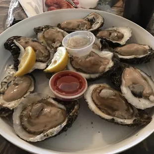Oysters on the Half Shell